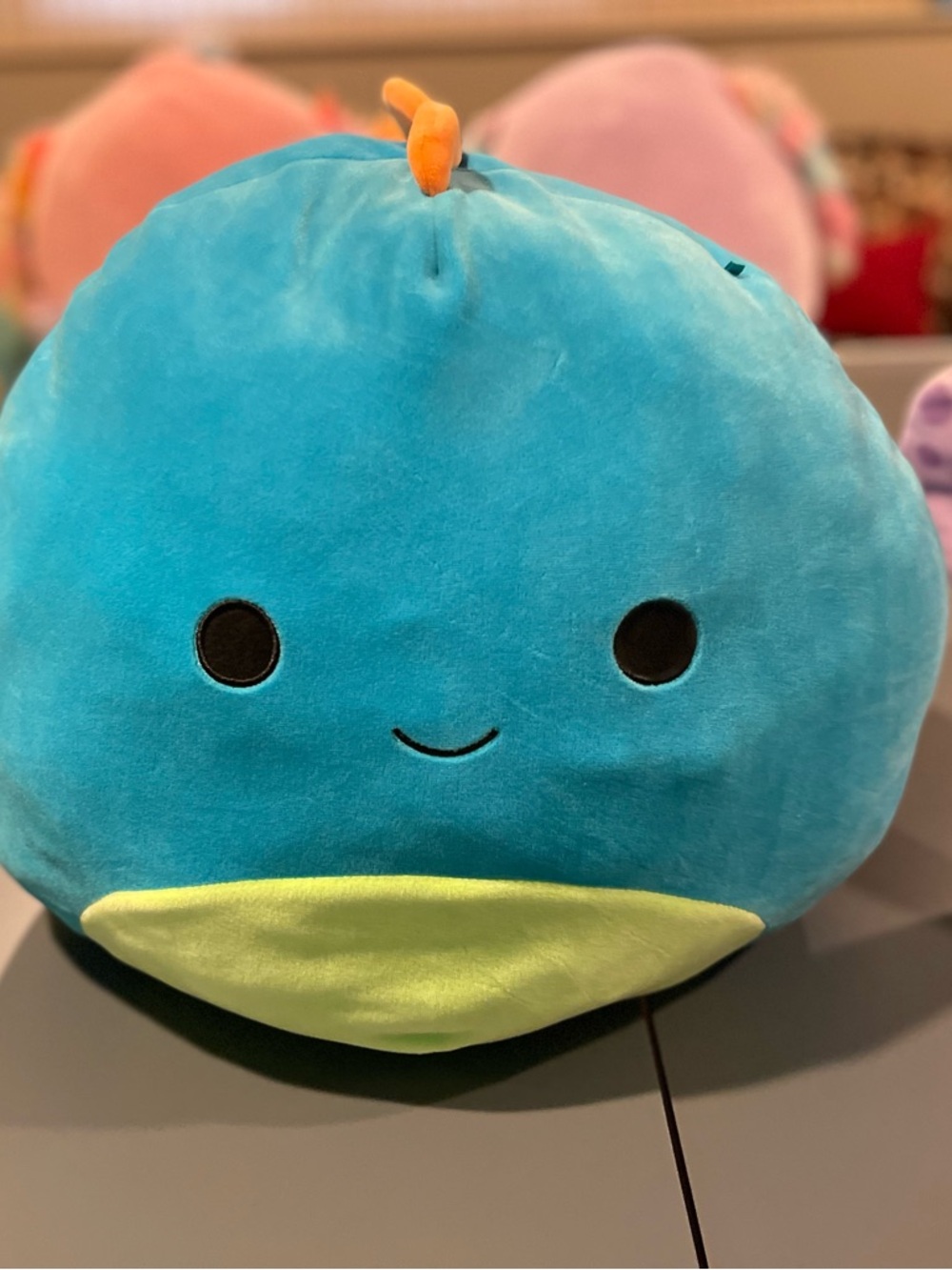 Squishmallows Blue and Lime Green Plush